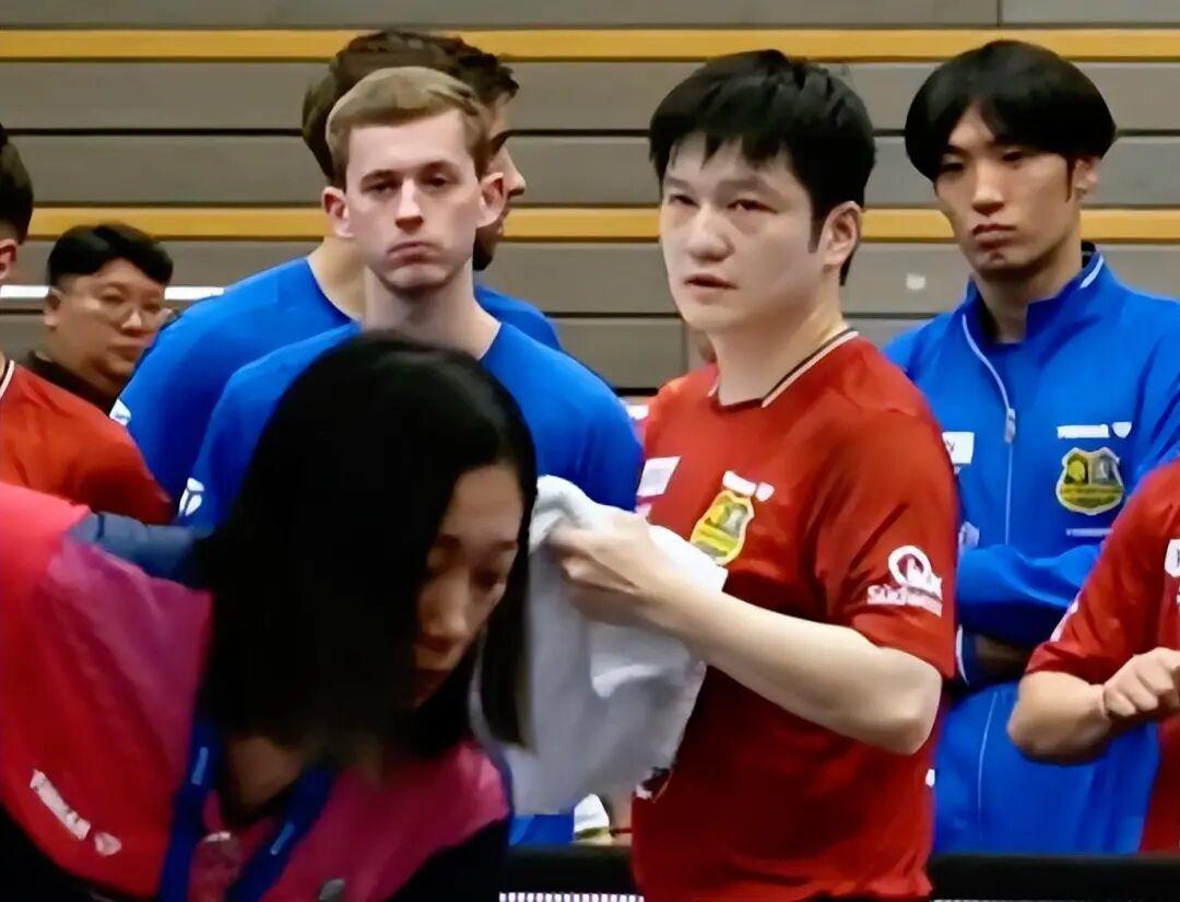 关于法国乒乓球队血洗比利时乒乓球队，樊振东送出助攻的信息