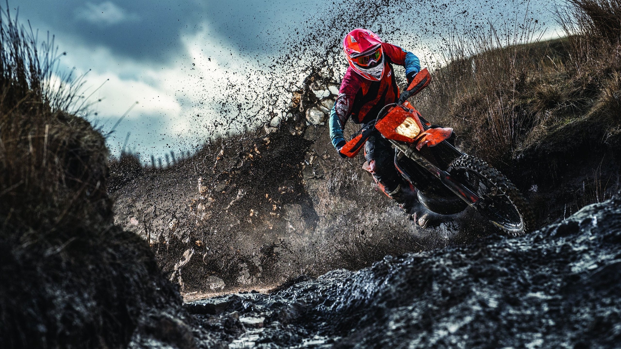 欧冠巅峰对决，曼联绝境逆袭，荷兰风暴下的传奇之夜